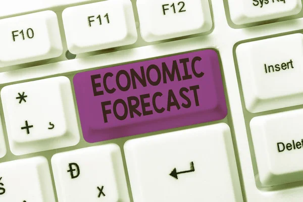 Inspiration showing sign Economic Forecast. Business concept attempting to predict the future condition of the economy Creating New Online Shop Business, Typing List Of Trading Goods — Stock Photo, Image