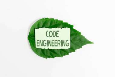 Conceptual caption Code Engineering. Business overview application of engineering to the development of software Saving Environment Ideas And Plans, Creating Sustainable Products