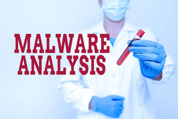Text sign showing Malware Analysis. Concept meaning performs deep analysis of evasive and unknown threats Studying Toxic Virus Analyzing Viral Discovery New Laboratory Experiments — 图库照片