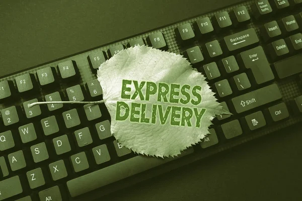 Conceptual display Express Delivery. Word Written on expediting the distributiuon of goods and services Typing New Educational Textbook, Abstract Retyping Old Essay Online — Stockfoto