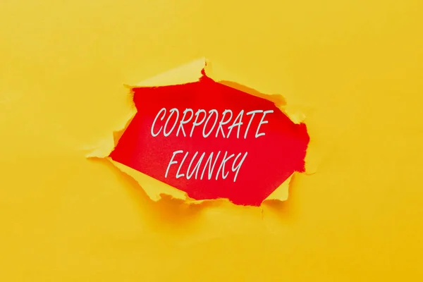 Tekst bijschrift presenteren Corporate Flunky. Zakelijke aanpak iemand die gehoorzaam werkt voor een andere persoon in het bedrijf Abstract Het ontdekken van Nieuw Leven Betekenis, Omarmend Zelf Ontwikkeling Concept — Stockfoto