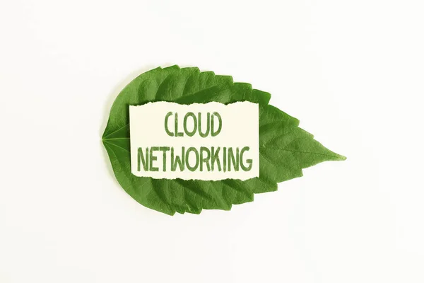 Hand writing sign Cloud Networking. Business concept sourcing and utilization of one or more network resources Saving Environment Ideas And Plans, Creating Sustainable Products — Stock Photo, Image