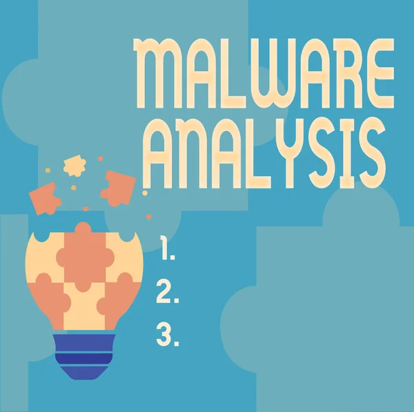 Signo de texto que muestra Malware Analysis. Word Written on realiza un análisis profundo de las amenazas evasivas y desconocidas Resumen de la lluvia de ideas Problema y solución, Concepto de pensamiento cuidadoso —  Fotos de Stock