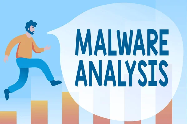 Writing displaying text Malware Analysis. Business approach performs deep analysis of evasive and unknown threats Debugging Programming Codes, Running And Testing New Computer Program — 图库照片