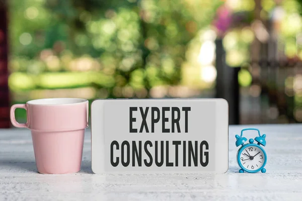 Konceptvisning Expert Consulting. Internet Concept providing of expert knowledge to a third party for a fee Sammanfattning Utomhus Smartphone Photography, Visar ny enhet — Stockfoto