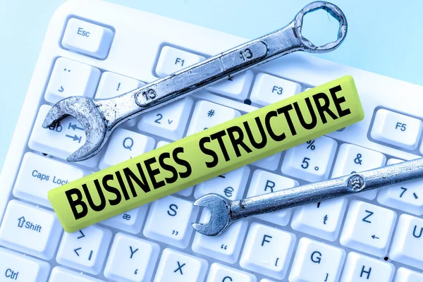 Handschrift Business Structure. Concept betekent Organisatie kader dat wettelijk is erkend Typen Firewall Program Codes, Typewriting regels en voorschriften Boek — Stockfoto