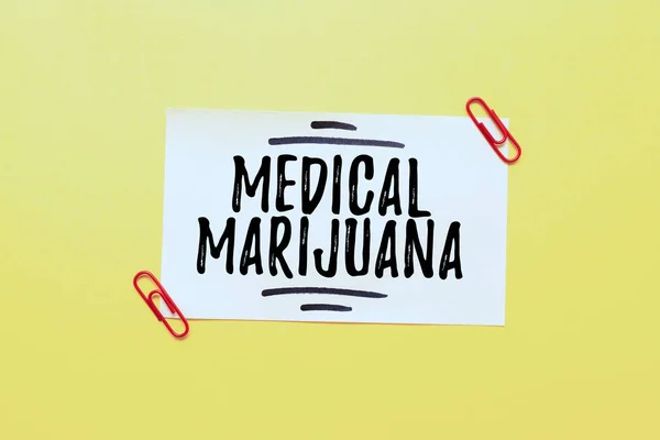 Text showing inspiration Medical Marijuana. Conceptual photo recommended by examining as treatment of a medical condition Critical Thinking Finding Clues Answering Questions Collecting Data