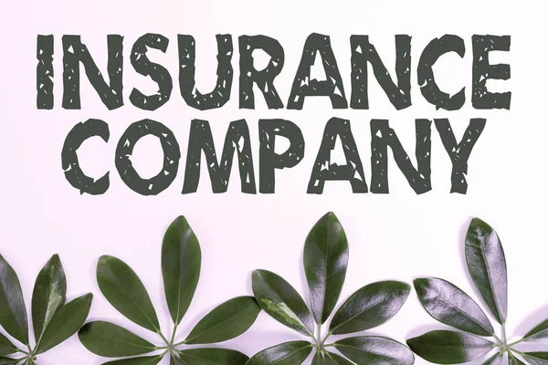Handwriting text Insurance Company. Business overview company that offers insurance policies to the public Nature Theme Presentation Ideas And Designs, Displaying Renewable Materials