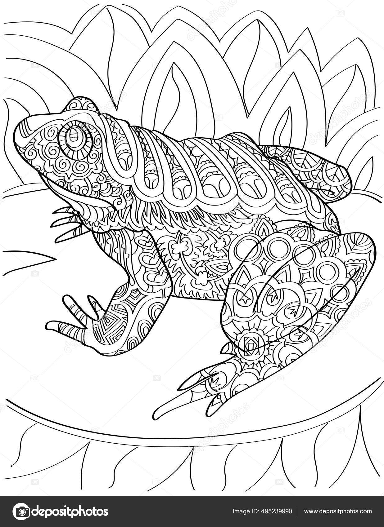 Sapo grande na água Lily olhando para o lado Desenho de linha incolor.  Enorme Bullfrog descansando em uma planta em uma lagoa colorir página do  livro. Vetor de ©nialowwa 495239990, image size:1237x1700