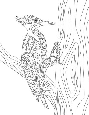 Ağaçkakan Ağaç Gövdesinde Delik Renksiz Çizim Yapmaya Çalışıyor. Pecker Bird Şubede Kaldı Ahşap Boyama Kitabı Sayfasını gagaladı.