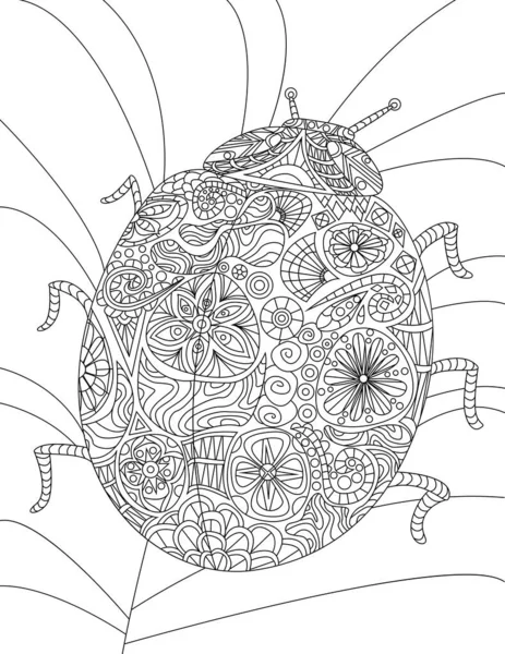 Mooie lieveheersbeestje met zes benen rusten op blad kleurloze lijn tekenen. Grote dame kever verblijf op plant bladeren kleurboek pagina. — Stockvector