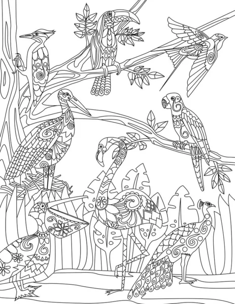 Különböző típusú madarak gyűjtött mellett egy fa papagáj páva Színtelen vonal rajz. Többszörös Fowl gyűjtése Flamingo Macaw Veréb színező könyv oldal. — Stock Vector