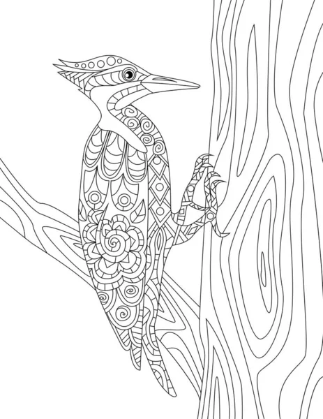 Hackspett på en trädstam försöker göra ett hål färglös linje ritning. Pecker Fågel stannar på gren Pecks trä målarbok Page. — Stock vektor