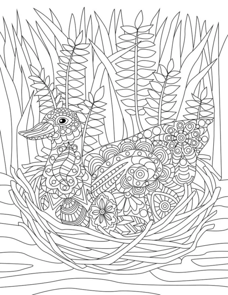 Kacsa ül a fészken a magas fű háttér színtelen vonal rajz. Vadliba fészkelés a földön két tojás színező könyv oldal. — Stock Vector