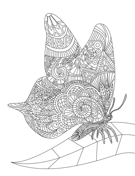 Vacker fjäril vilar på ett enda blad Spridning Wings Färglös Linje Ritning. Moth med öppen vinge vistas på anläggningen målarbok Page. — Stock vektor