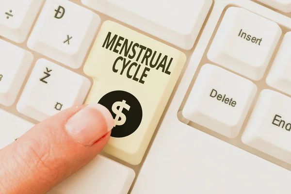 Inspiráció mutatja a menstruációs ciklust. Üzleti megközelítés havi ciklus változások a petefészkek és a méhnyálkahártya Átírása Internet Meeting Audio Record, Új átírási módszerek — Stock Fotó