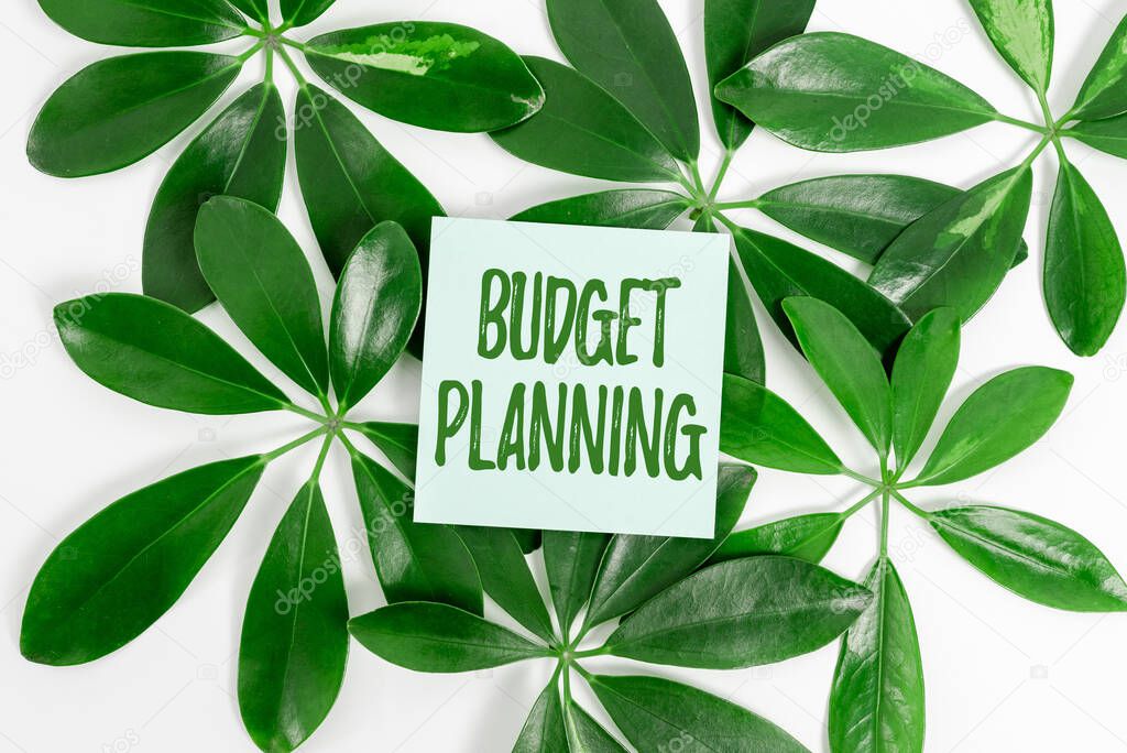 Writing displaying text Budget Planning. Business overview process of constructing a budget and then utilizing it Saving Environment Ideas And Plans, Creating Sustainable Products