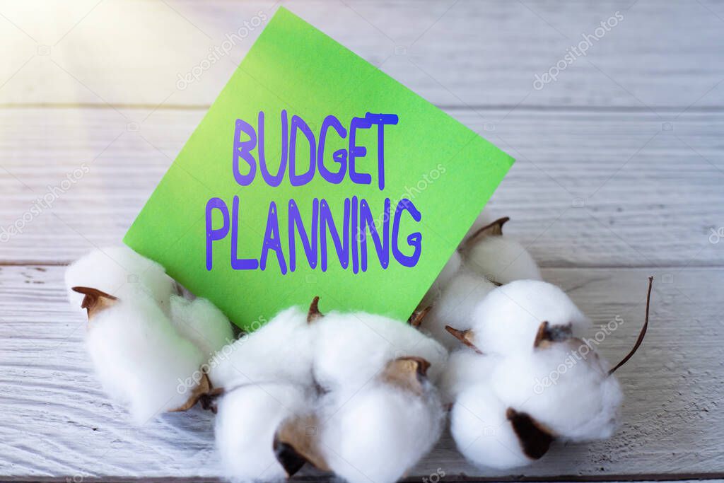 Inspiration showing sign Budget Planning. Internet Concept process of constructing a budget and then utilizing it Blank Piece Of Sticky Note Placed On Top Of Table With Cotton Plant.