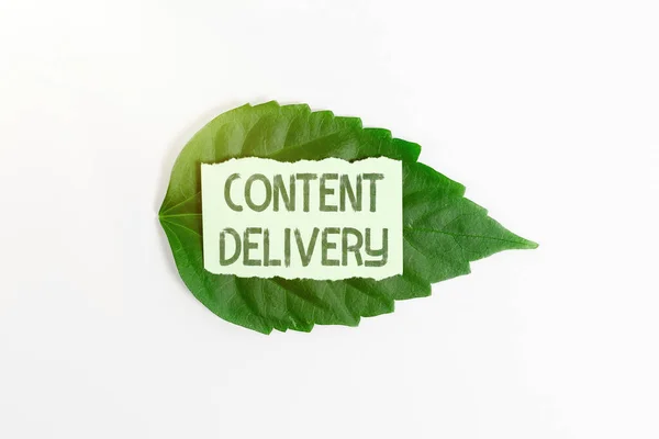 Writing displaying text Content Delivery. Internet Concept geographically distributed network of proxy servers Saving Environment Ideas And Plans, Creating Sustainable Products — Stock Photo, Image