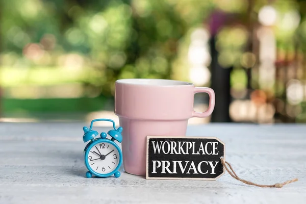 Testo indicante la privacy sul posto di lavoro. Parola Scritto sulla tutela dei diritti individuali alla privacy sul posto di lavoro Ambiente rilassante e rinfrescante, Giardino Coffee Shop Idee — Foto Stock