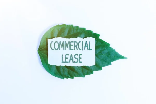 Konzeptionelle Anzeige Commercial Lease. Wort im Vertrag zwischen einem Vermieter und einem Mieter einer Gewerbeimmobilie, das Umweltideen und -pläne rettet, nachhaltige Produkte schafft — Stockfoto