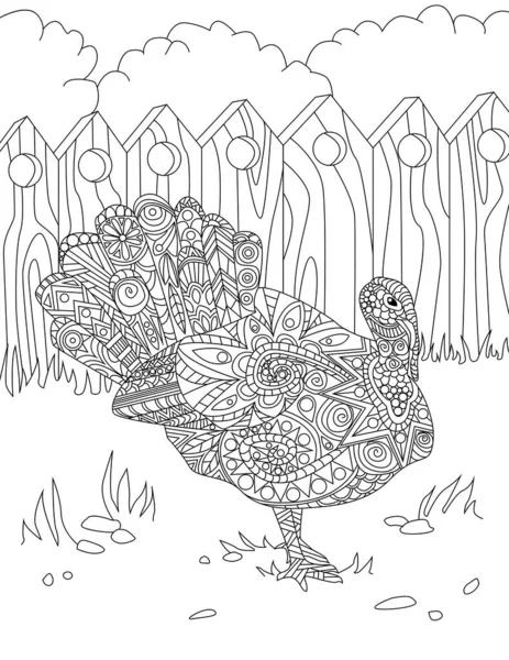 Vonalrajz egy nagy, gyönyörű páva madárról nyitott farokkal, ahogy egyedül áll a kerítésen belül. Nagy szép csirke faj rajz van mesés Spanned Farok. — Stock Vector