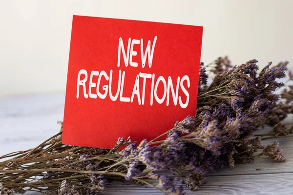 Inspiration showing sign New Regulations. Business concept rules made by a government or authority in order to control Blank Piece Of Sticky Note Placed On Top Of A Table Beside A Plant. — Stock Photo, Image