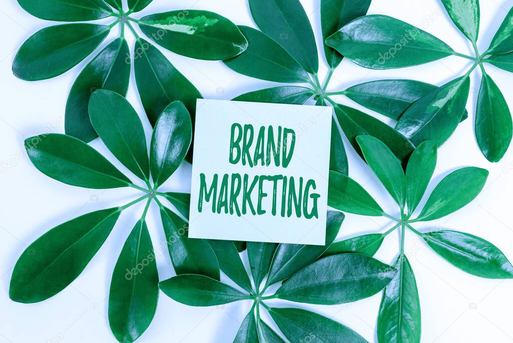Conceptual caption Brand Marketing. Concept meaning creating a name that identifies and differentiates a product Saving Environment Ideas And Plans, Creating Sustainable Products