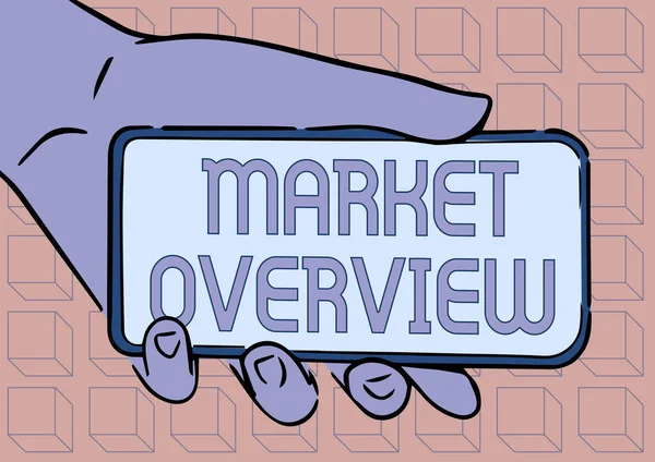 Tekst pisma ręcznego Market Overview. Koncepcja oznaczająca krótkie streszczenie rynku komercyjnego lub przemysłowego Adult Hand Illustration Holding Mobile Pokazywanie nowych technologii na ekranie. — Zdjęcie stockowe