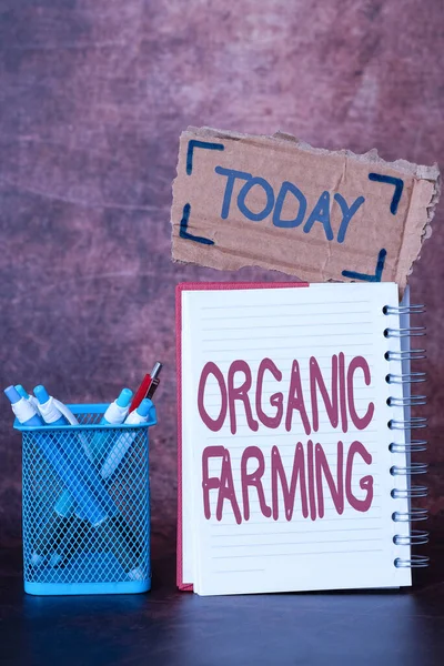 Organic Farming 이란 제목의 글을 쓴다. 자연에 기반 한 해충 방제 브레인스토밍 (Brainstorming) The New Idea Of Solutions And Answers Seeking More Clues — 스톡 사진