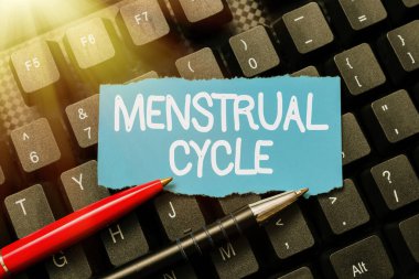 Adet döngüsünü gösteren metin işareti. Yumurtalıklarda ve uterusta yapılan aylık değişikliklerin iş genel görünümü Kelime İşleme Programı Fikirleri, Programlama Güncelleme Güncelleme Güncellemeleri Kavramı