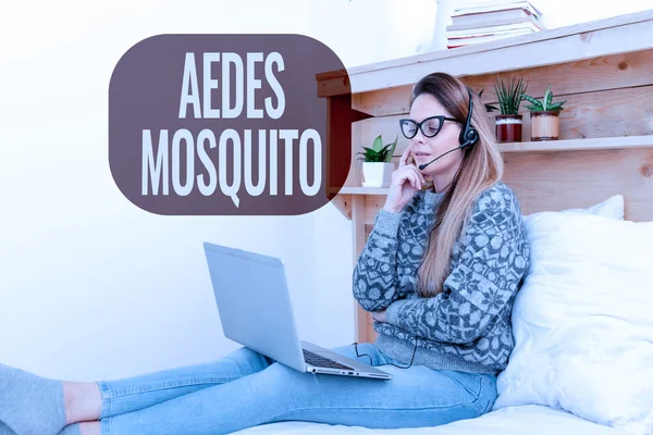 Aedes Sivrisinek 'i gösteren bir mesaj. Sarı humma sivrisineği hakkında yazılan kelime Dang hummasını yayabilir Yeni şeyler öğrenebilir İnternet 'te, gündelik internet sörfü ve tarama — Stok fotoğraf