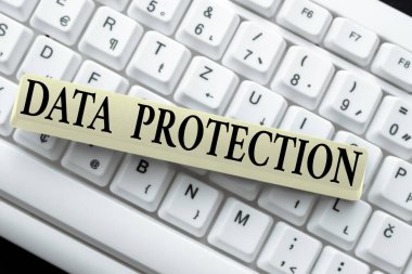 Metin Veri Koruması gösterimi yazılıyor. Çevrimiçi Transkripsiyon Görevleri Oluşturma, Web Sitesi Açıklamaları Yazma, Bilgisayar Soyutlamasında depolanan verilerin erişimi ve kullanımı üzerine iş yaklaşımı yasal kontrol