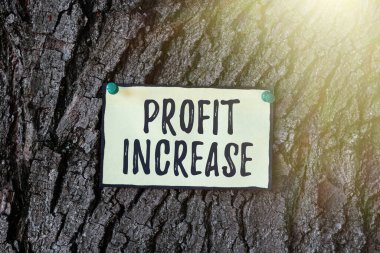 İlham Veren Kâr Artırmayı gösteren metin. Yeni Parlak Fikirler Düşünerek Yaratıcılık ve İlham Verme İşletme veya Satışlarda üretilen gelirlerin büyümesi fikri