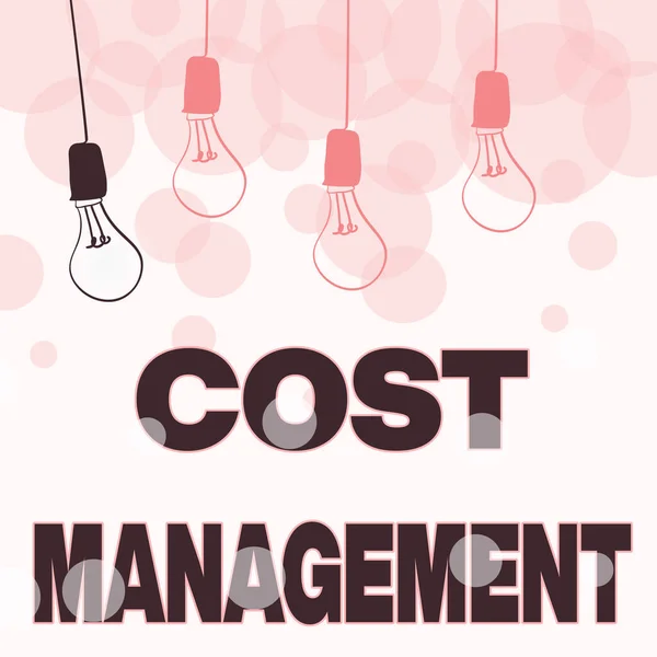 概念显示成本管理.企业预算规划与控制的业务概述过程摘要展示不同的理念、不同的灯光呈现智慧的概念 — 图库照片