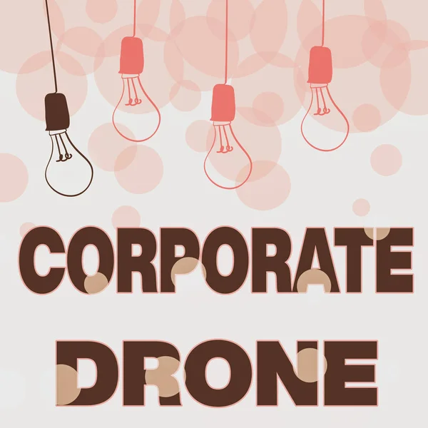 Texto de escritura a mano Corporate Drone. Descripción general del negocio Vehículos aéreos no tripulados utilizados para monitorear las cercanías del negocio Resumen Mostrando diferentes ideas, luces presentando el concepto de intelecto —  Fotos de Stock