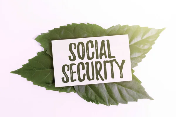 El yazısı sosyal güvenlik numarası. Çevre Tasarruf Fikirleri ve Planlarının gösterilmesine, sürdürülebilir Ürünler Oluşturulmasına parasal yardım sağlayan iş yaklaşım sistemi — Stok fotoğraf