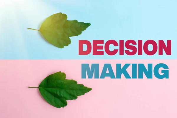 Text showing inspiration Decision Making. Word Written on process of making decisions especially important ones Two Objects Arranged Facing Inward Outward On a Separated Coloured Background