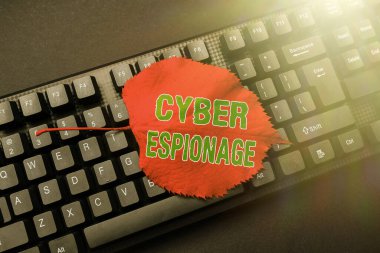 Kavramsal Siber Casusluk. Yeni Çevrimiçi Günlük İndirme, Yazma Programı Kodu Betiği, Soyut İndirme izni olmadan bilgi ve sırları elde etme yaklaşımı