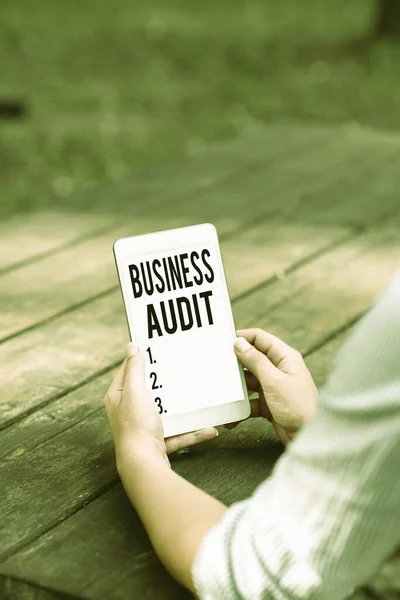 Firma visualizzazione Business Audit. Esame della relazione finanziaria di un'organizzazione Lavoro online e collegamento remoto delle persone — Foto Stock