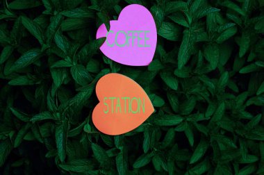 Kahve istasyonunu sunan metin başlığı. İş görüşü. Sıcak içeceklerin servis edildiği küçük, gayri resmi bir restoran. Açık Doğa Yaprak Fabrikası Bush 'un üstünde Kalp Şeklinde Kağıt..