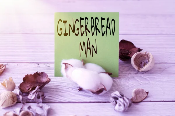 Legenda conceitual Gingerbread Man. Conceito que significa biscoito feito de pão de gengibre geralmente na forma de peça em branco humano de nota pegajosa colocada no topo da mesa com planta de algodão. — Fotografia de Stock