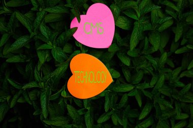 El yazısı Cms Technology. Dijital içerik oluşturmak ve yönetmek için kullanılan iş genel bakış programları Açık Doğa Yaprak Fabrikası Bush üzerinde Kalp şekilli kağıt.