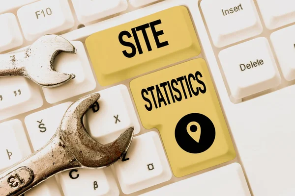 Texto mostrando inspiração Site Statistics. Negócios mostram a medição do comportamento dos visitantes de determinado site Conectando-se com amigos on-line, fazendo aquisições na Internet — Fotografia de Stock