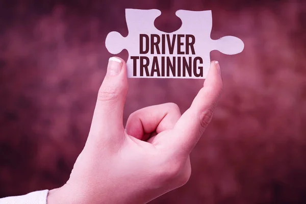 Text caption presenting Driver Training. Business overview prepares a new driver to obtain a driver s is license Businesswoman Find Strategy For Resolving Connecting Missing Ideas At Work