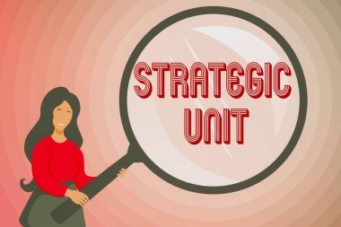 SMS işareti Stratejik Birim 'i gösteriyor. İş konsepti kâr merkezi ürün sunma ve piyasa segmentine odaklandı. Soyut Soruşturma ve İpuçları Bulma, Cevaplar Aranıyor