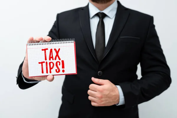 Rukopisný text Tax Tips. Přehled podnikání povinný příspěvek do státních příjmů vybíraný vládou Prezentování nových plánů a nápadů Demonstrační proces plánování — Stock fotografie