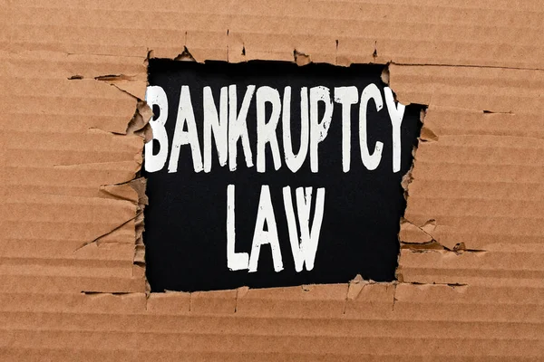 Text sign showing Bankruptcy Law. Business overview Designed to help creditor in getting the asset of the debtor Smart Office Plans Construction Development And Planning Fresh Start — Stock Photo, Image