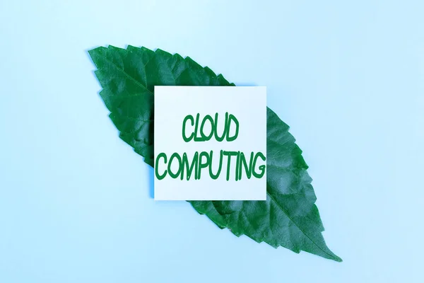 Signo de texto que muestra Cloud Computing. Enfoque empresarial utilizar una red de servidores remotos alojados en Internet Creando Naturaleza Tema Blog Contenido, Prevención de la pérdida ambiental — Foto de Stock