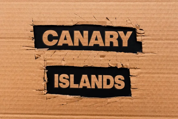 Bildunterschrift: Kanarische Inseln. Unternehmen präsentieren eine Gruppe bergiger Inseln im Atlantik, die neue Gedanken entwickeln und neue Ideen entwickeln, die Veränderungen akzeptieren — Stockfoto